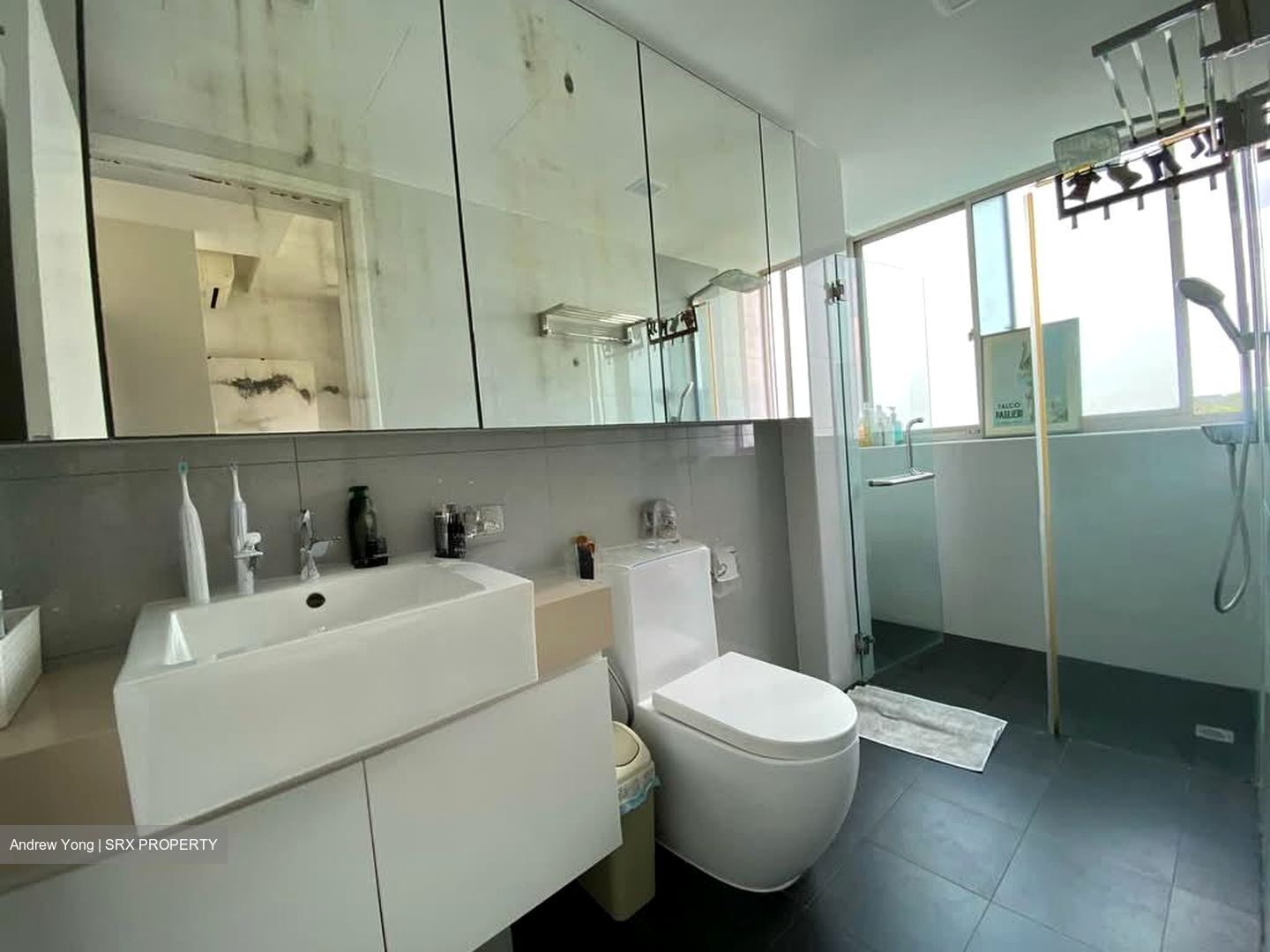 Gardenvista (D21), Condominium #598749841